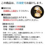 生ドーナツ/濃厚抹茶【4個セット】 6