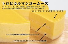 【ホテルサンライフガーデン】スイーツメルティンケーキ【クラシックガトーオランジュ、トロピカルマンゴームース 2個セット】 3