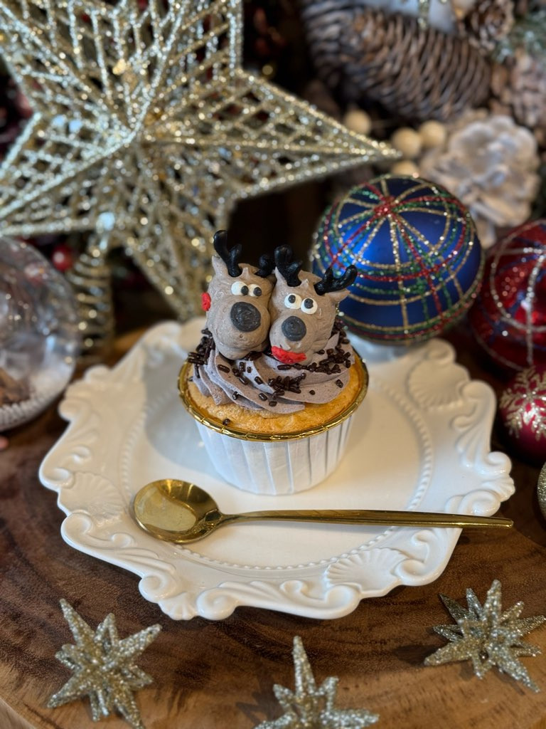 Christmas Special box/カップケーキ(THE Ugly Duckling Christmas Special box/カップケーキ(THE Ugly Duckling