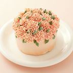 カーネーションケーキ / ピンクベージュ  1