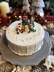 Christmas on the Stump cake/ 4号サイズ/クリスマスケーキ2026⭐︎ 2