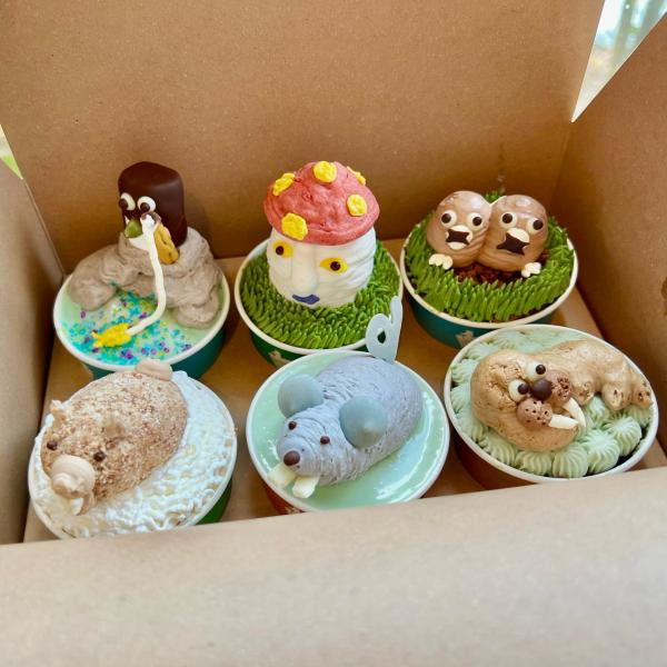 cupcake owner's select【6cup set box】/カップケーキ6個セット