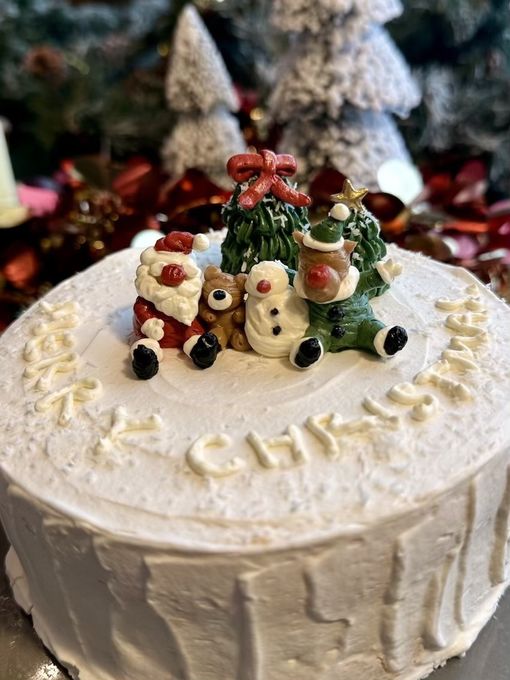 Christmas on the Stump cake/ 4号サイズ/クリスマスケーキ2026⭐︎ 5