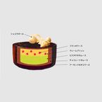 【京王プラザホテル】Cake.jpオリジナルクリスマス冷凍ケーキ「オレオール」1個（直径16cm） ／クリスマス2024 3