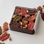 秋のクッキー缶 《ヴィーガン、グルテンフリースイーツ》  4