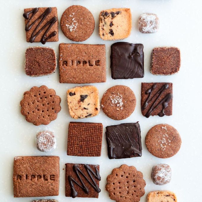 チョコクッキー缶《ヴィーガン、グルテンフリースイーツ》バレンタイン2026 2