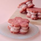 桜サンドクッキー(ヴィーガンスイーツ) 4