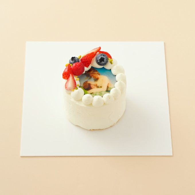 丸写真ケーキ 苺×フランボワーズ 3号(1~2名様向け) 1