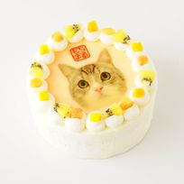 もち様ホールケーキ（5号）