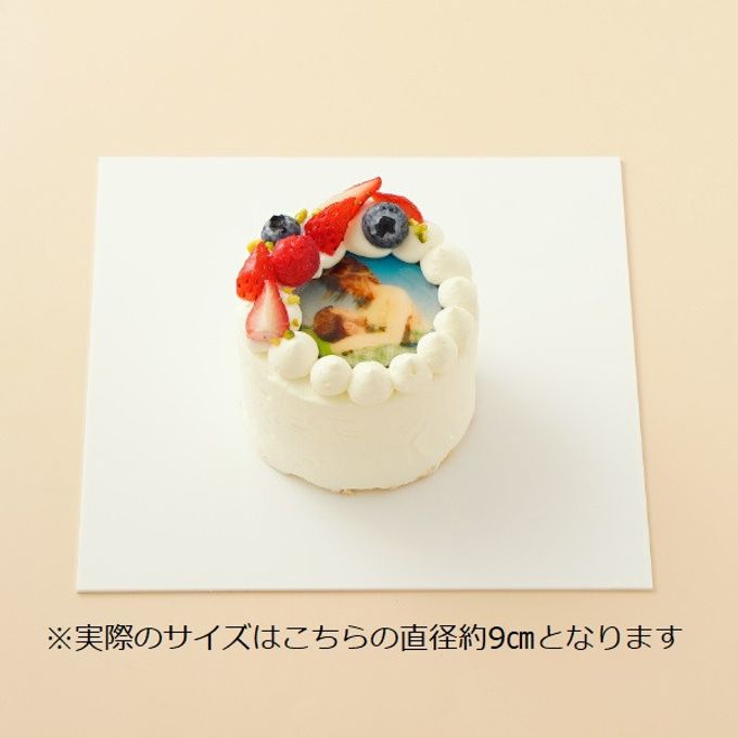 丸写真ケーキチョコレート 苺×フランボワーズ 3号(1~2名様向け) 2