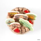 【ファンターネ！】 ファーストバースデーチョコレートケーキ≪3号≫ 4