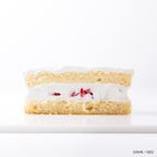 【いないいないばあっ！】 ファーストバースデーケーキ≪4号≫ 5