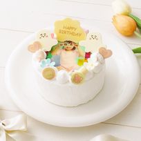 シナぷしゅ 写真ケーキ お花 4号(12㎝)【※アレルギー非対応：原材料の一部に、小麦・卵・乳成分・大豆を含む】