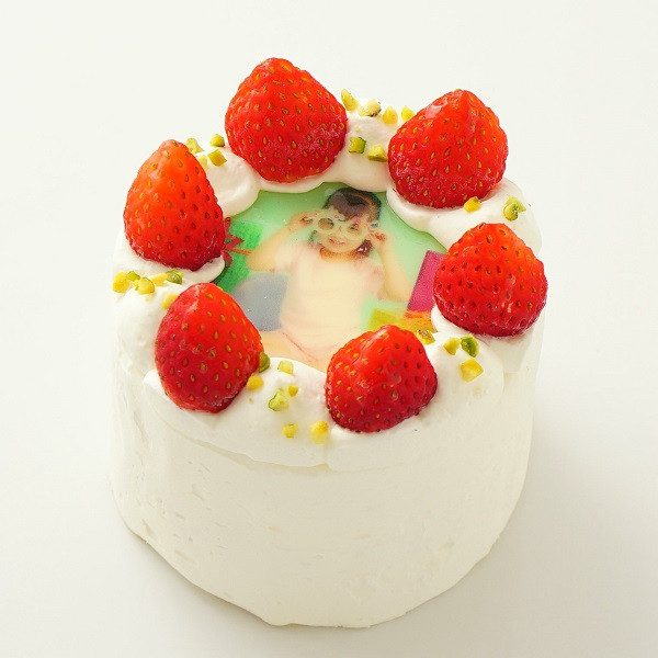 タイムセール♡』小さな苺ロール♡くまさん&ひよこ 【公式通販】