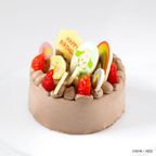 【いないいないばあっ！】 ファーストバースデーチョコレートケーキ≪4号≫ 3