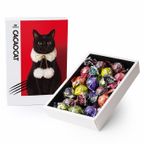 【CACAOCAT】CACAOCAT ミックス 16個入り RED  母の日2024 1