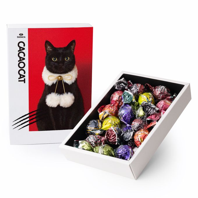 【CACAOCAT】CACAOCAT ミックス 16個入り RED  母の日2024 1
