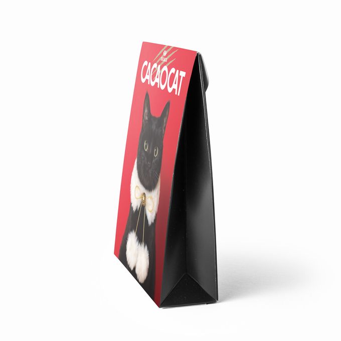 【CACAOCAT】CACAOCAT ミックス 9個入り RED  母の日2024 2