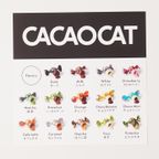 【CACAOCAT】 CACAOCAT缶 ミックス 14個入り BLACK   7