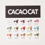【CACAOCAT】CACAOCAT ミックス 28個入り  母の日2024 8