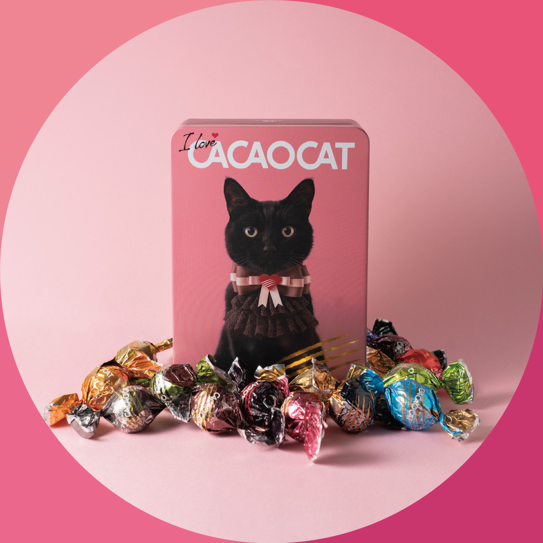 CACAOCAT】I love CACAOCAT缶 14個入り 母の日2024（CACAOCAT） | Cake.jp