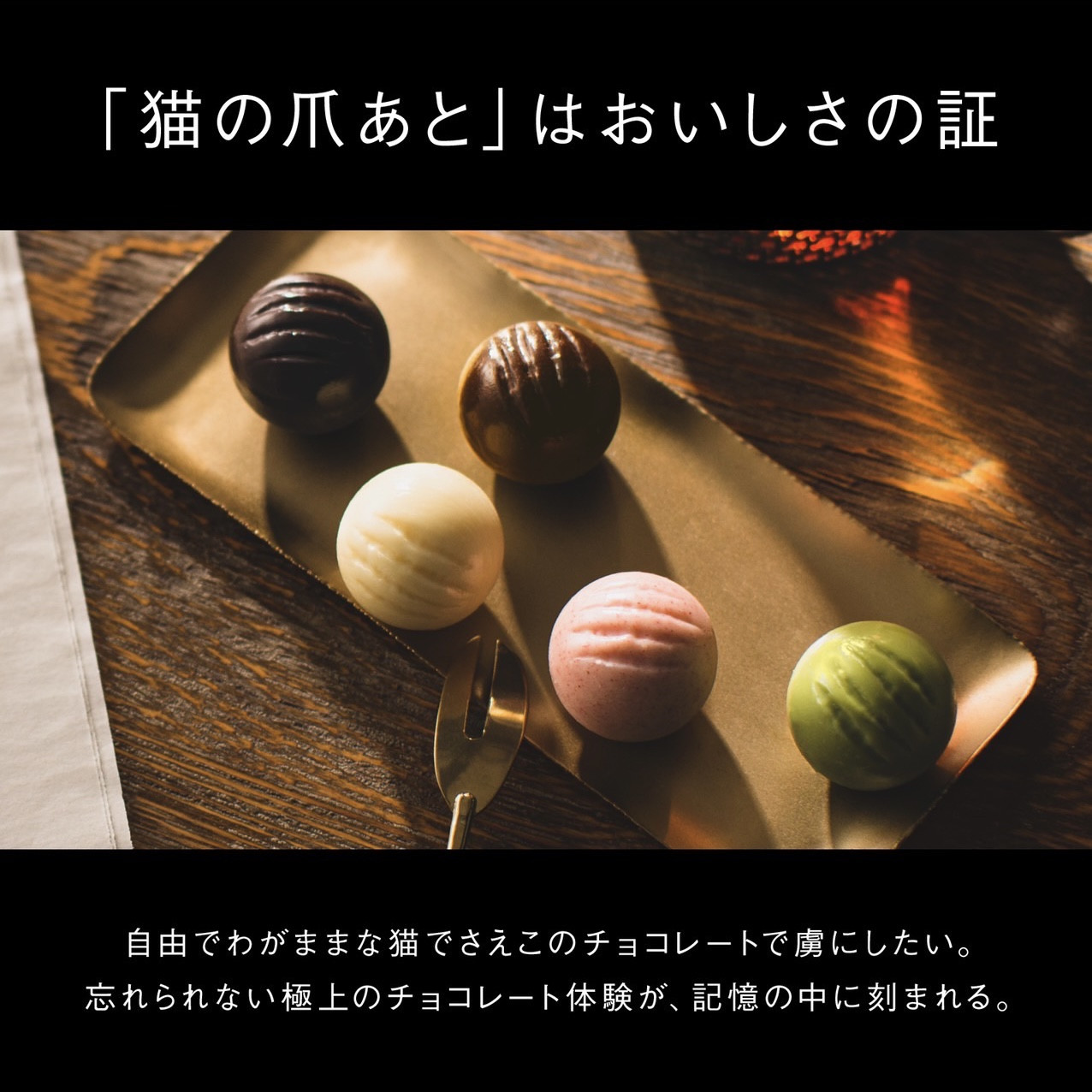 【CACAOCAT】I love CACAOCAT ミックス 9個入り 5