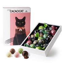 【CACAOCAT】 I love CACAOCAT ミックス 16個入り  