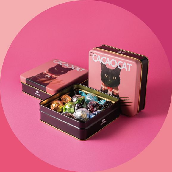 【CACAOCAT】I love CACAOCAT缶 8個入り