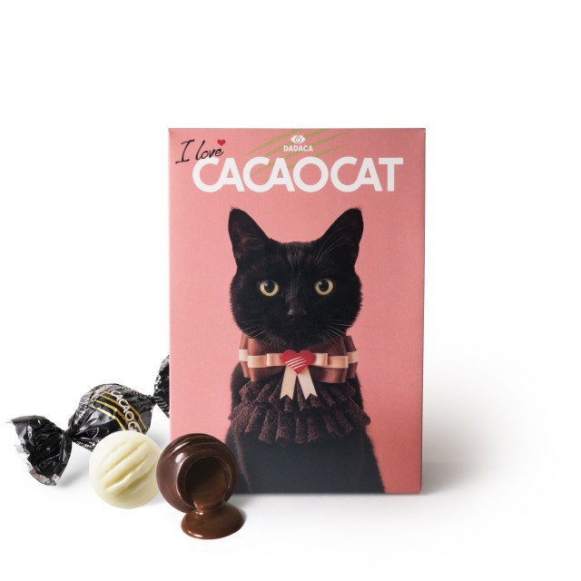 【CACAOCAT】I love CACAOCAT ミックス 9個入り 1
