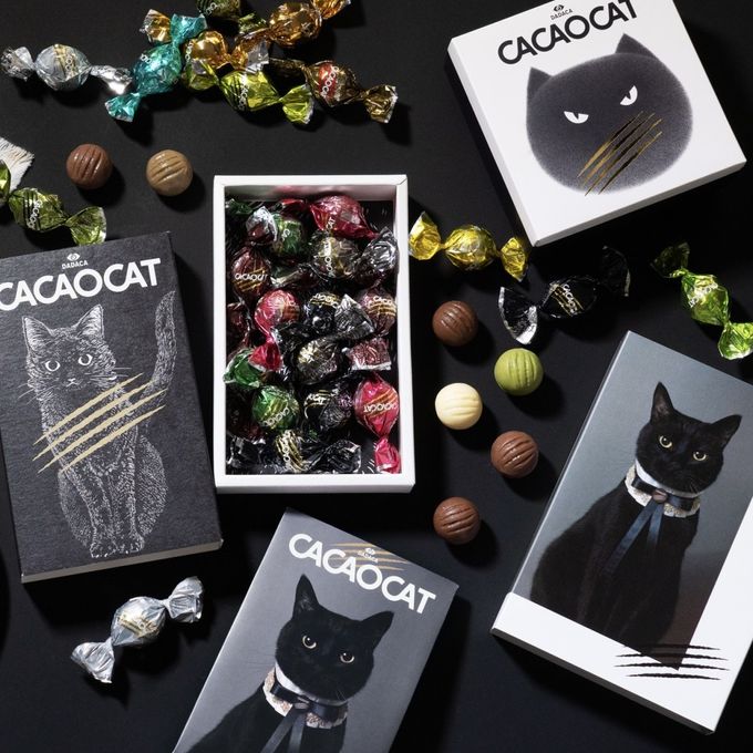 【CACAOCAT】【26%OFF】数量限定！猫の日チョコレートバッグ詰め合わせ 母の日2024 2