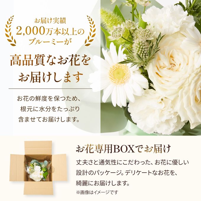 そのまま飾れるブーケ(ホワイト) Sサイズ  5