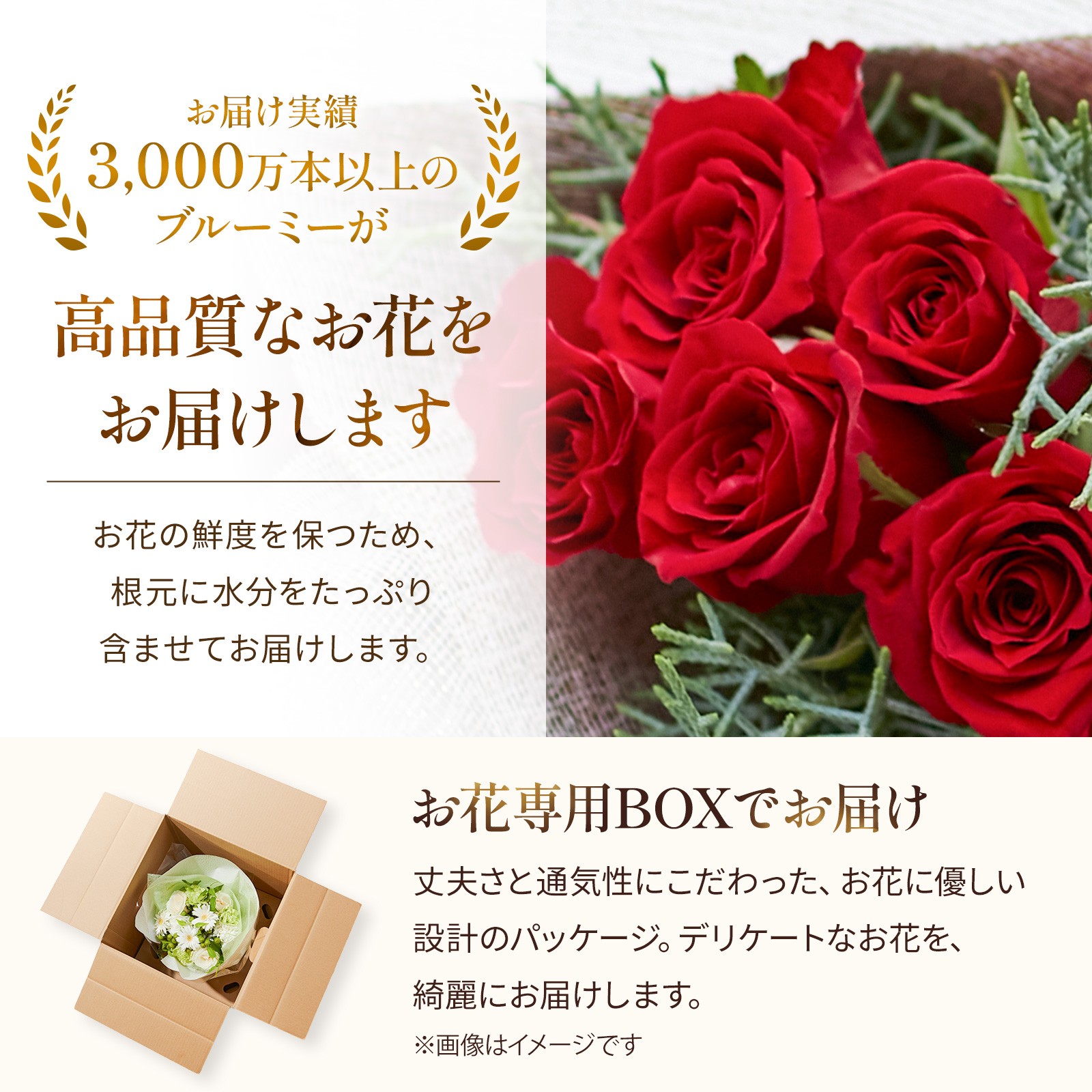 バラブーケ バラ5本の花束（bloomee(ブルーミー)） | Cake.jp