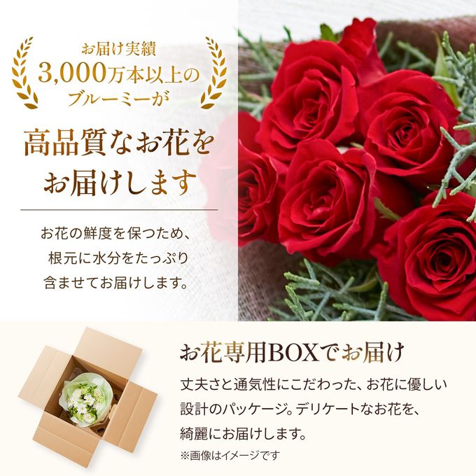 バラブーケ バラ5本のブーケ  5