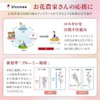 【bloomee】気軽に送れるミニブーケ(ネコポス便でお届け) 5