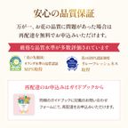プレミアムローズブーケ バラ20本のブーケ 6