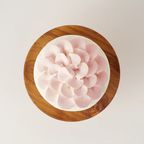 Fluer Smash Pink / フルール スマッシュ ピンク 3号 9cm 4