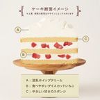 Fluer Smash Pink / フルールスマッシュ ピンク 4号 グルテンフリー 小麦・乳不使用 着色料不使用 5