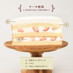 クリスマスのミニチュア風シンプルケーキ 豆乳クリーム 3号 9cm クリスマスケーキ2025 4