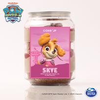 【パウ・パトロール】スカイ ケーキ缶（チョコショート）