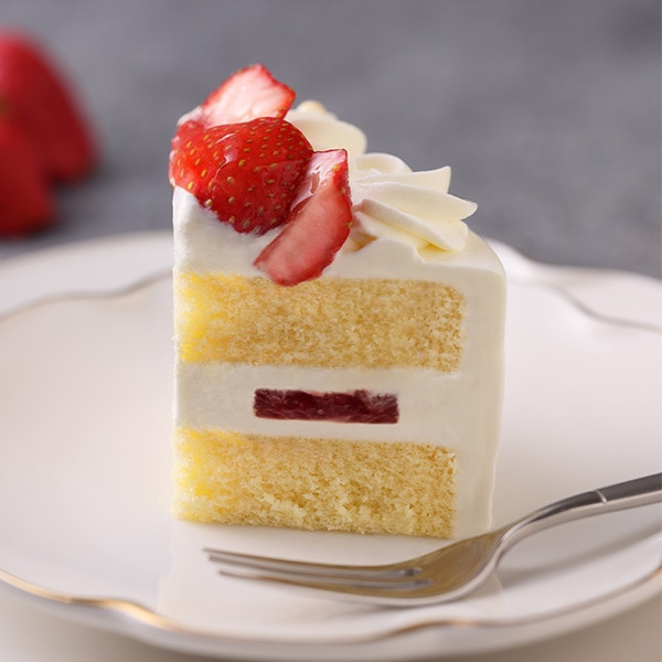 新品　パンパンチュチュ  L デコチュチュ ストロベリーケーキ　いちごトップス 新品 パンパンチュチュ L デコチュチュ ストロベリーケーキ