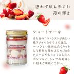 【アンリ・シャルパンティエ】ガトー・パルフェ〈ショートケーキ×チーズケーキ〉 3