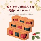 はにわぷりん【クリスマスはに友9個セット】１個箱入りアソートセット 9個入り（ティラミス風ぷりん＆蜜りんごぷりん） 6