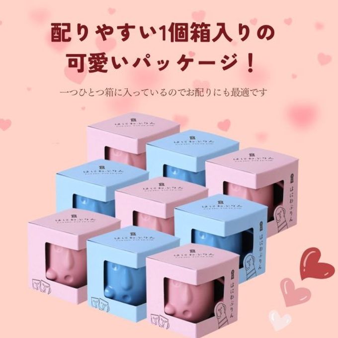 はにわぷりん【バレンタイン9個セット】１個箱入りアソートセット 9個入り（ブラックチョコ＆カスタードぷりん・ブラックチェリー＆フロマージュぷりん） 6