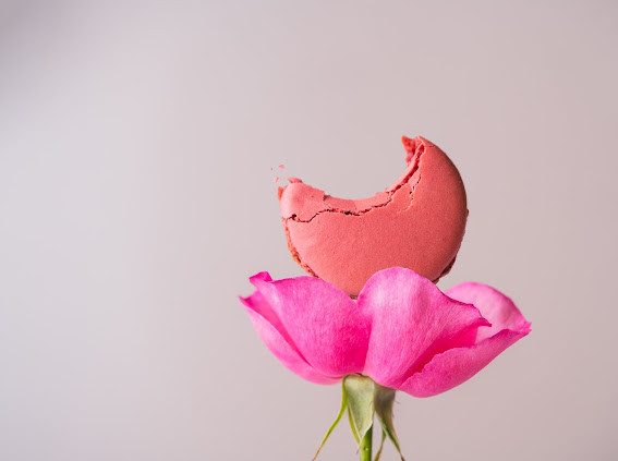 出雲の名店Grand Chainon】プティブーケ お花のマカロン5個＋