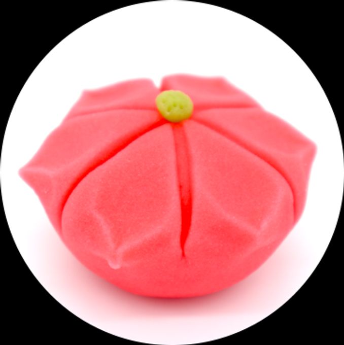 12月限定ねりきりキット クリスマス2025 4