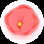 3月限定セット！練りきり作り体験（練りきりキットのみ6個セット） 4