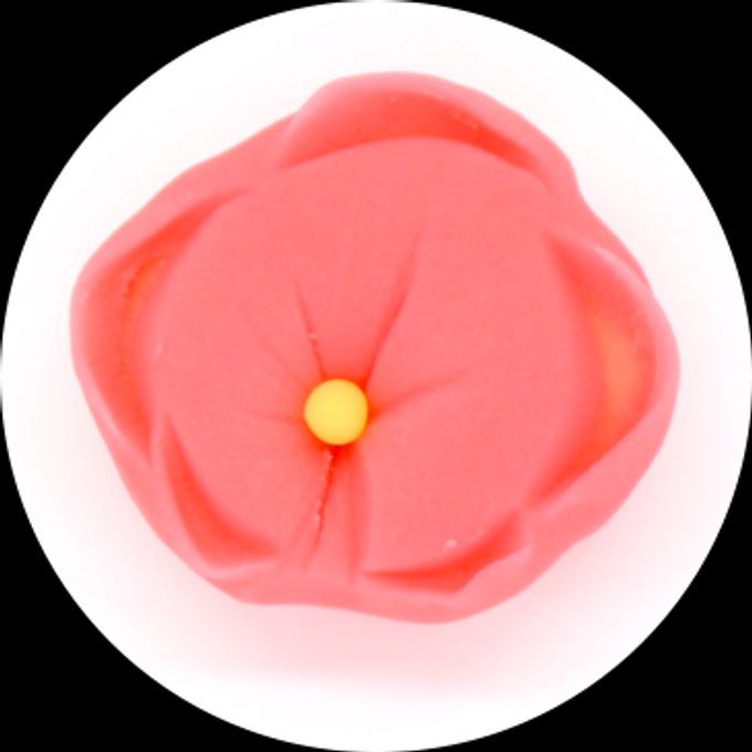 3月限定セット！練りきり作り体験（練りきりキットのみ6個セット） 4