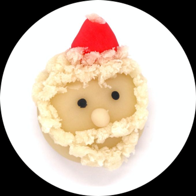 12月限定ねりきりキット クリスマス2025 3