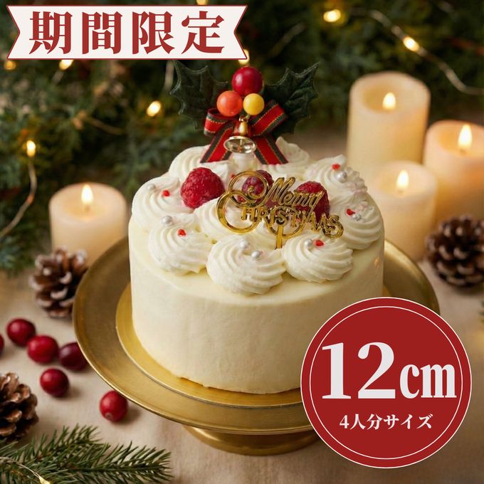 バニラムースケーキ クリスマス2025 1