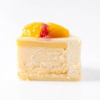 【数量限定】ドゥーブルフロマージュ 5号（直径15cm）  ケーキの日2026 3